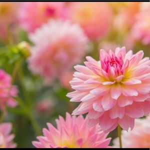 Taking all reasonable offers